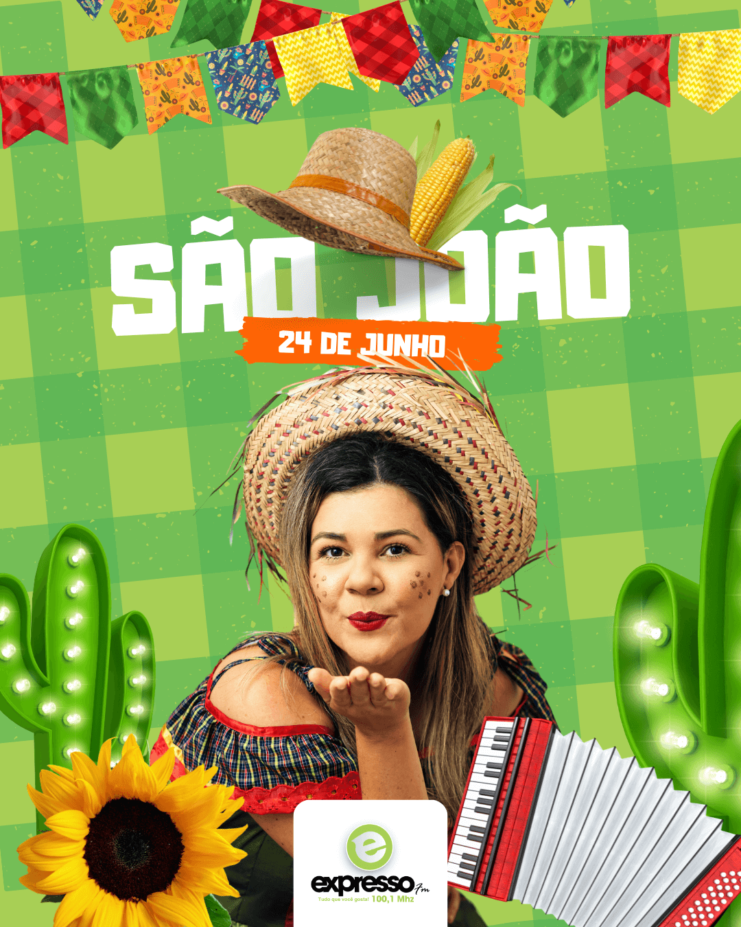Imagem 3