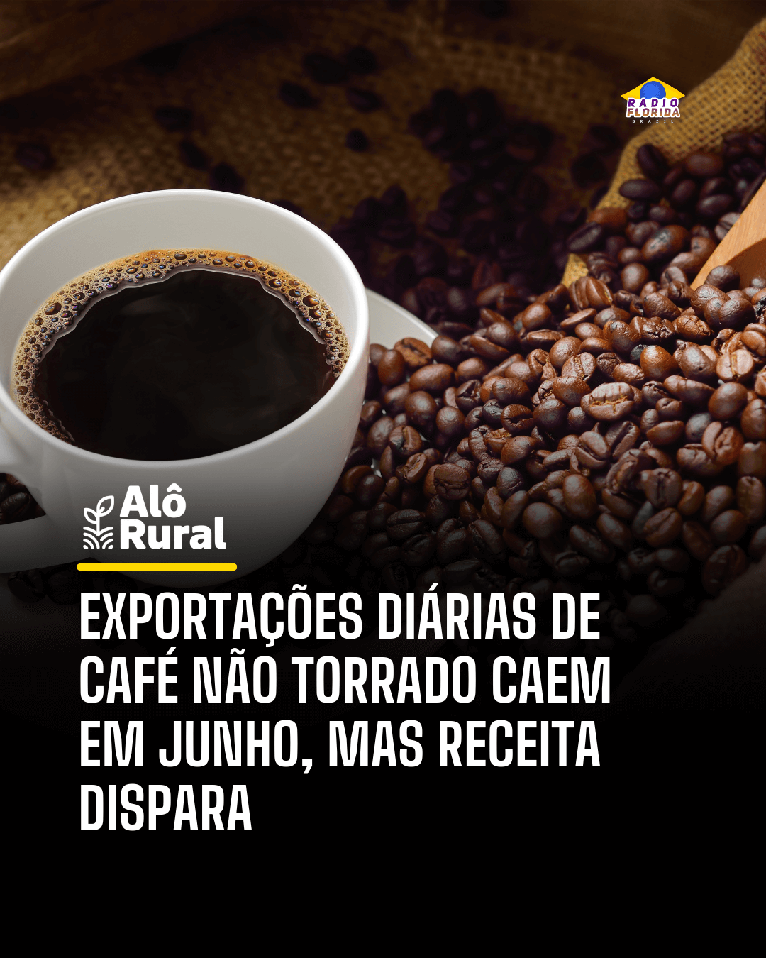 Imagem 8